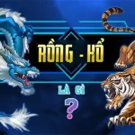 rồng hổ là gì